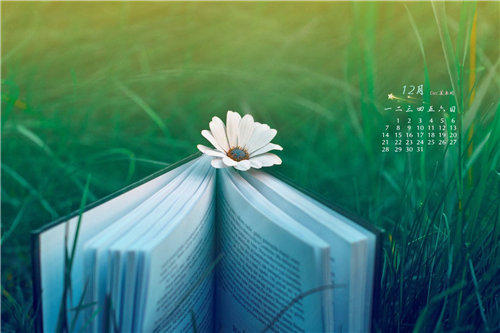 ������ϰ����ϰ�����������μǡ�����У���ѡ��ƪ��