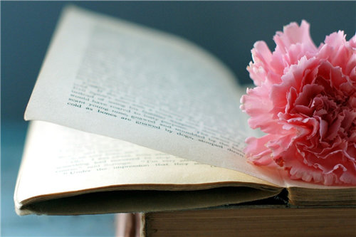 �����������塷�и�500��