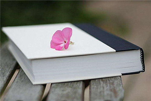 �����䳣̸�������800��