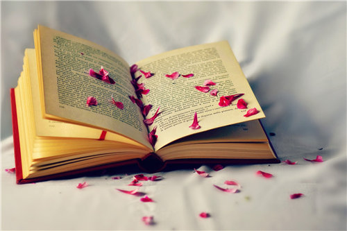 ���¶���Ԫϰ����д����У��з�дģ�壩