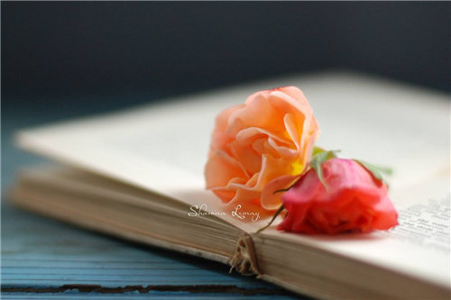 �����������������450��