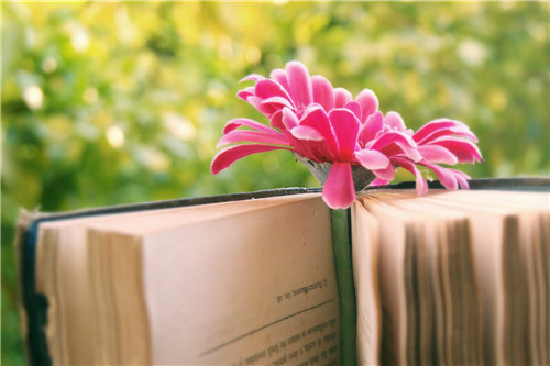 ��ˮ䰴��������450��